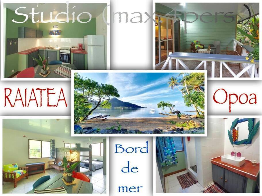 Raiatea, Opoa, Studio Du Fare Reve, Acces Mer Privatif Екстериор снимка